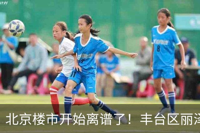 北京楼市开始离谱了！丰台区丽泽商务区板块从11.8万变成7.2万