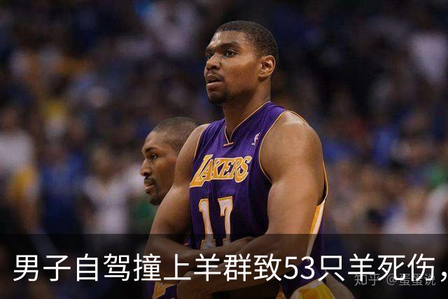 男子自驾撞上羊群致53只羊死伤，赔偿8.48万元后羊却归羊主人所有，律师解读：赔了钱，羊为什么不能带走？